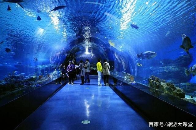 上海水族館，上海水族館內特色生物介紹上海水族館內特色生物介紹