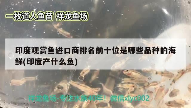 彩虹雷龍魚的飼養方法，channableheri產于印度的小型雷龍魚