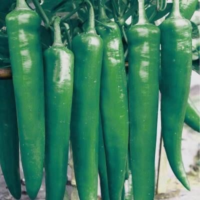 濟南歷下峰向水族館