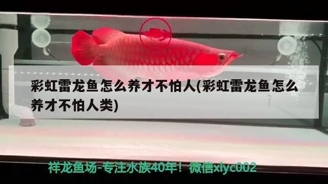 生鮮店魚缸批發市場價格表大全，生鮮店魚缸批發市場價格表