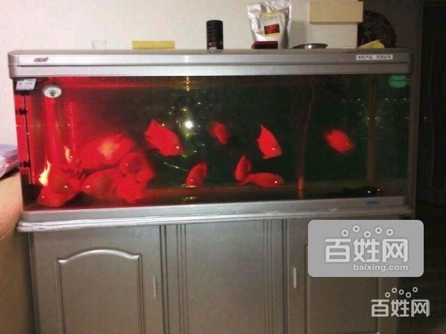 大港賣魚缸的地方有哪些：在大港地區可以找到賣魚缸的相關信息