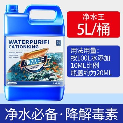 100l的魚缸適合養什么魚：100l的魚缸適合在100l的魚缸中飼養什么魚