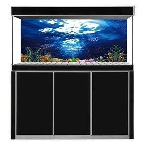 白底黑背景魚缸：白底黑背景魚缸各有優缺點