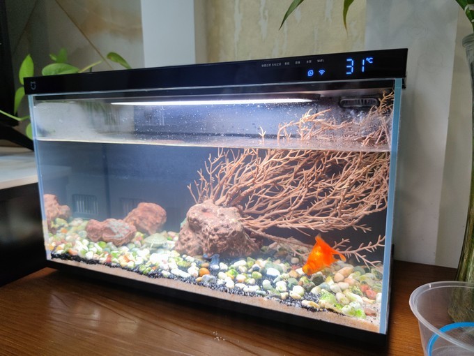 信陽市羊山新區森森水族（信陽市羊山新區森森水族館電話）