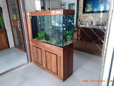 玻璃魚缸好嗎：如何選擇玻璃魚缸