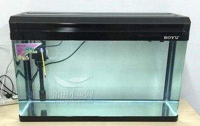 超白魚缸尺寸標準：如何挑選超白魚缸
