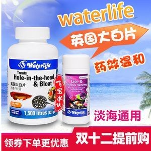 龍魚燈烤魚怎么辨別真假