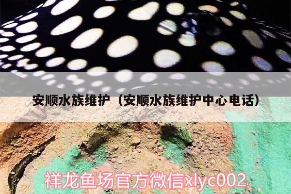 安順水族維護（安順水族維護中心電話）