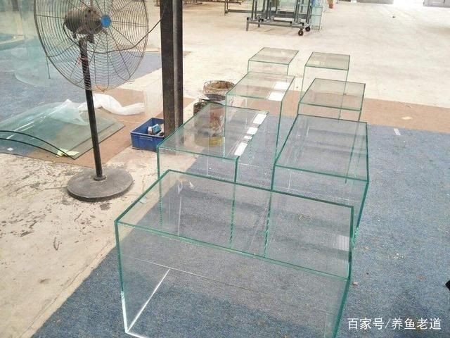 10毫米玻璃做魚缸：10毫米厚的玻璃可以用于制作魚缸嗎？