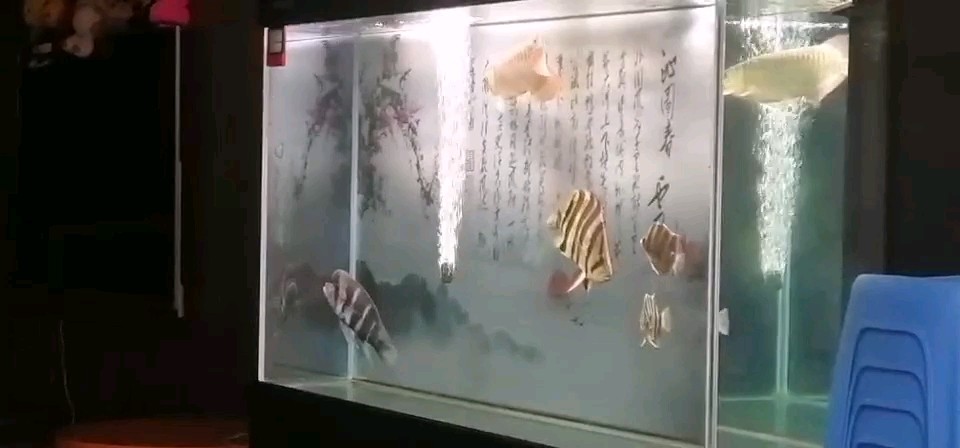 魚(yú)不在多有虎則靈
