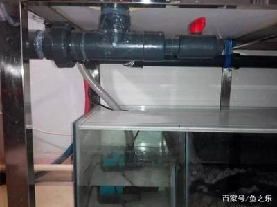 拆魚缸有什么好辦法嗎：拆魚缸的一些方法和建議