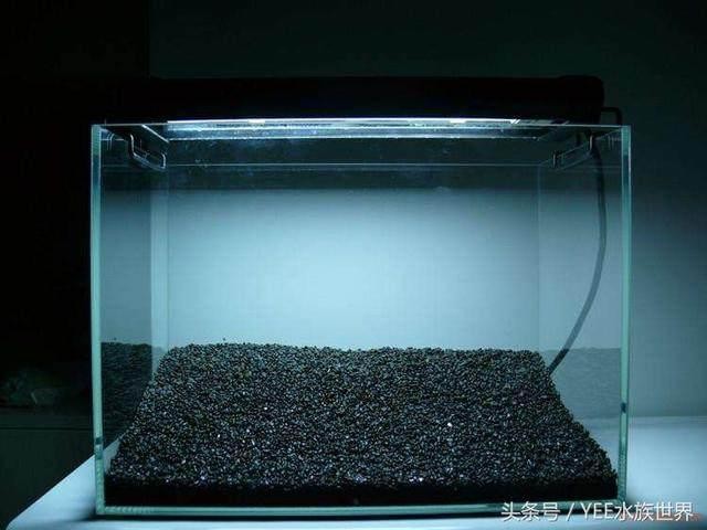 成華區(qū)長天水族館