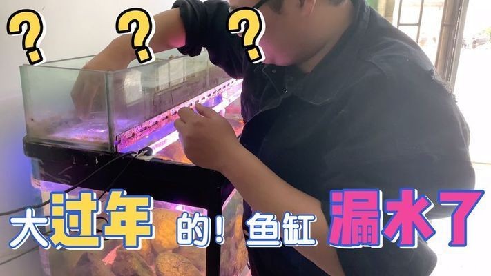 大魚缸漏水怎么辦妙招視頻：如何處理大魚缸漏水