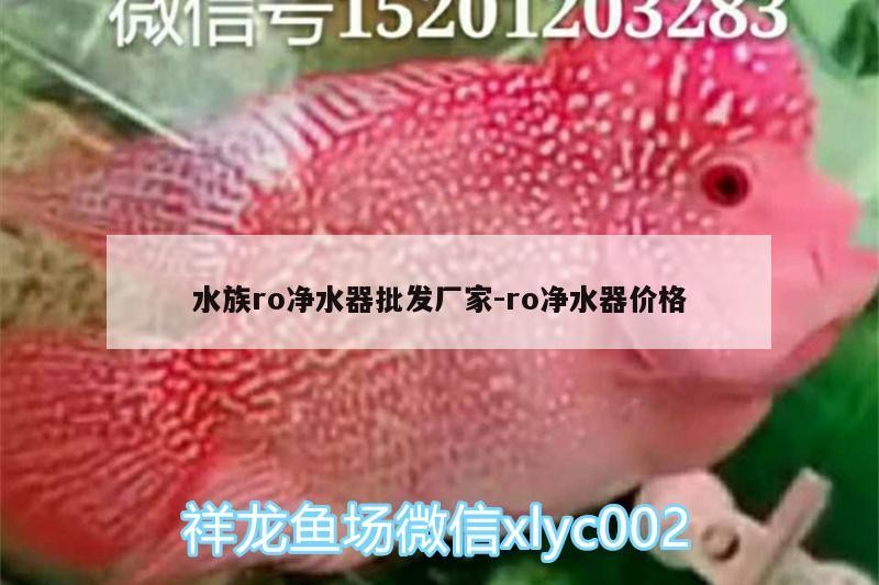 水族ro凈水器批發廠家:ro凈水器價格
