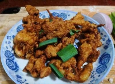 螞炸喂金龍魚好嗎