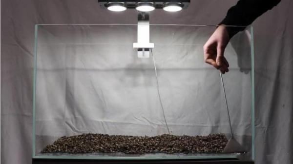 1.5米×0.6x0.7米魚缸：1.5米×0.6米×0.7米魚缸