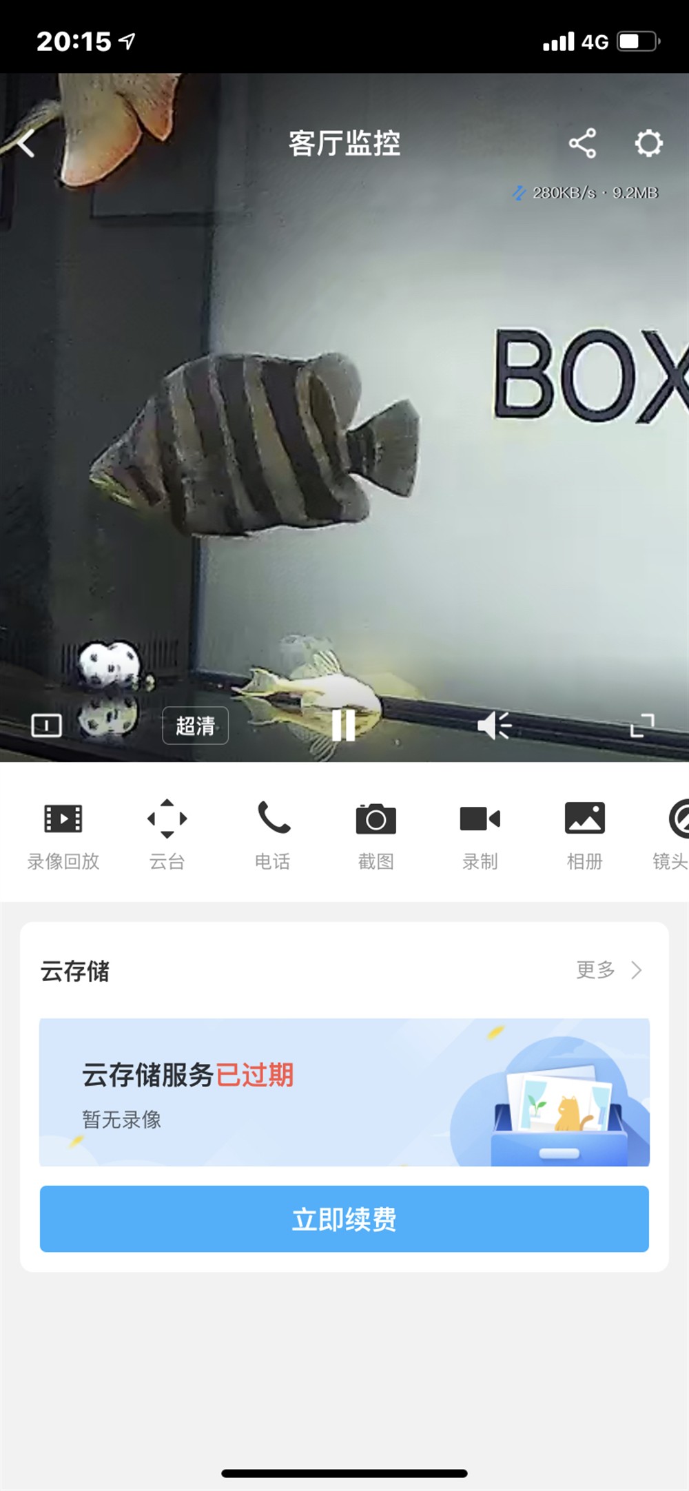 黑缸虎魚 怎么明