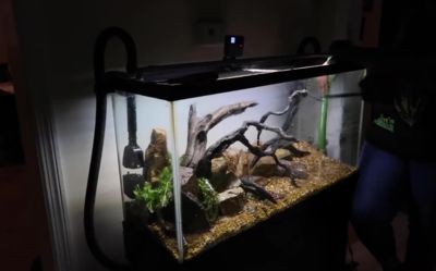大型景觀魚(yú)缸推薦：大型景觀魚(yú)缸選擇