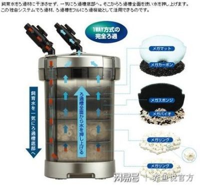 魚缸水質渾濁怎么辦魚缸水質渾濁怎么辦魚缸水質渾濁怎么辦：底濾魚缸水質渾濁怎么辦