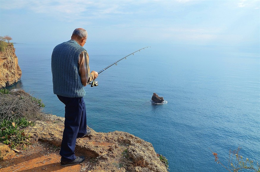 金頭虎繁殖歡迎魚友交流