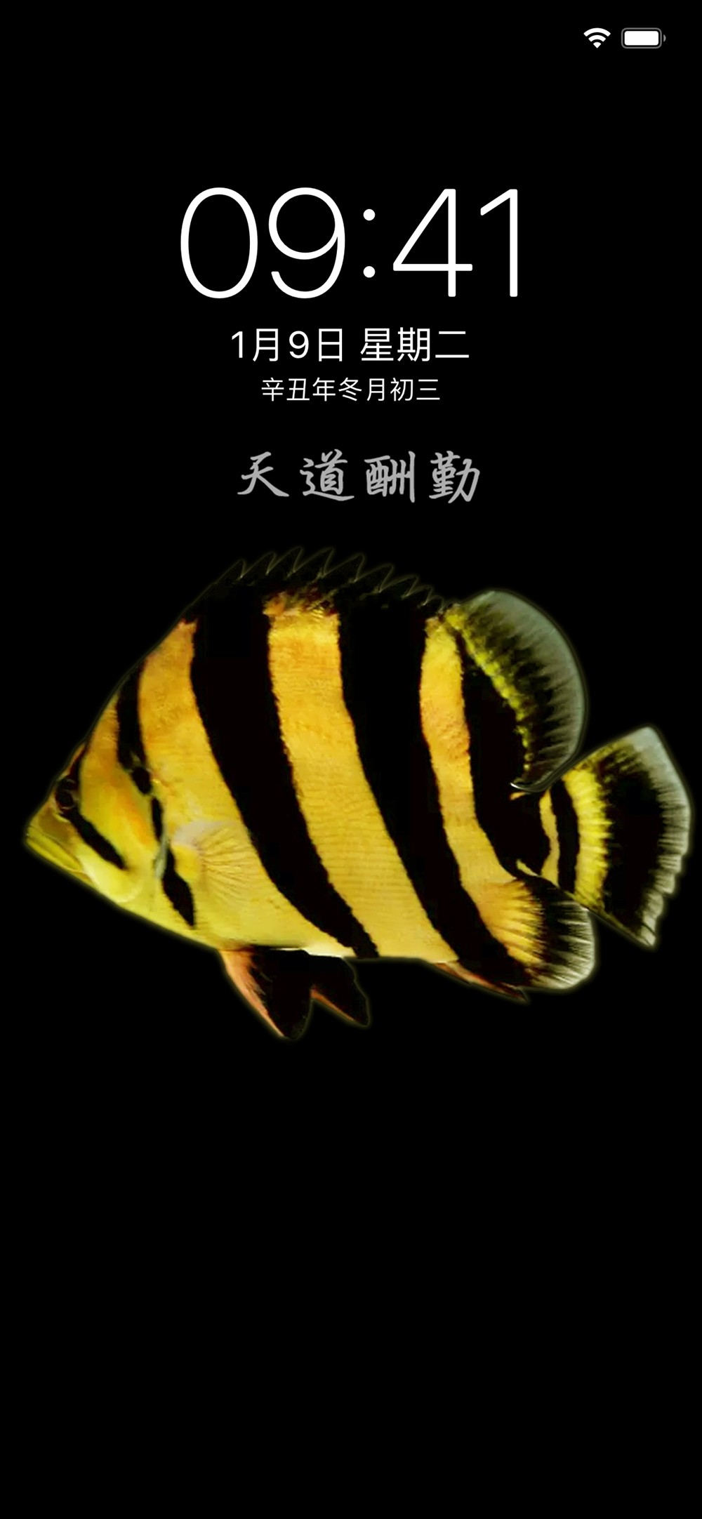 虎年發虎魚吉祥又如意