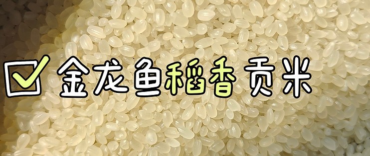 西峰區旺角水族館（西峰區旺角水族館