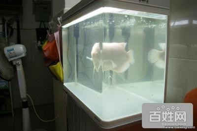 大新縣生態水族館（大新縣生態水族館電話）
