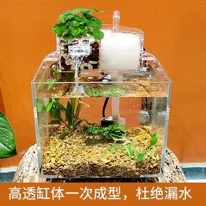大魚缸改造小魚缸視頻：如何將大魚缸改造成小魚缸