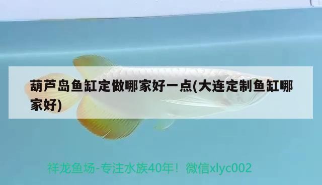 葫蘆島魚缸定做哪家好一點(大連定制魚缸哪家好)