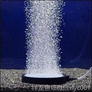 高溫?zé)Y(jié)氣盤石高級氣泡盤魚缸增氧氣泡石堅硬邊框盤超靜音