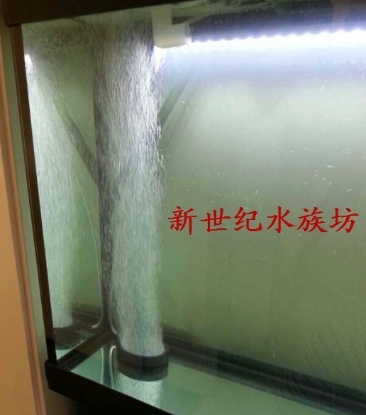 高溫?zé)Y(jié)氣盤石高級氣泡盤魚缸增氧氣泡石堅硬邊框盤超靜音