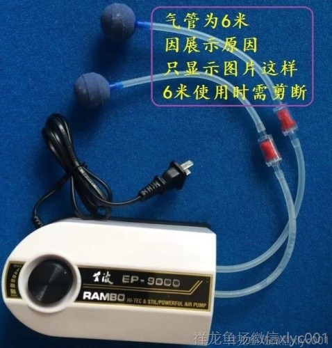 高溫?zé)Y(jié)氣盤石高級氣泡盤魚缸增氧氣泡石堅硬邊框盤超靜音