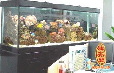 店內魚缸的擺放位置對于店鋪風水有著重要的影響：店內魚缸擺放位置對于店鋪風水有著重要的影響