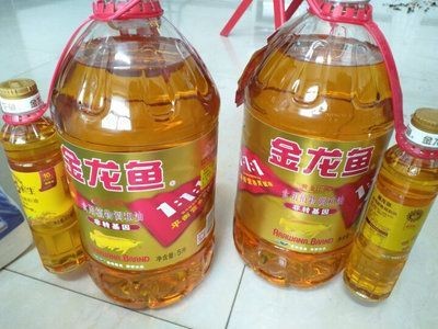 銀龍魚吃啥最好：銀龍魚吃啥最好養，龍魚最佳飼料推薦，營養均衡助力