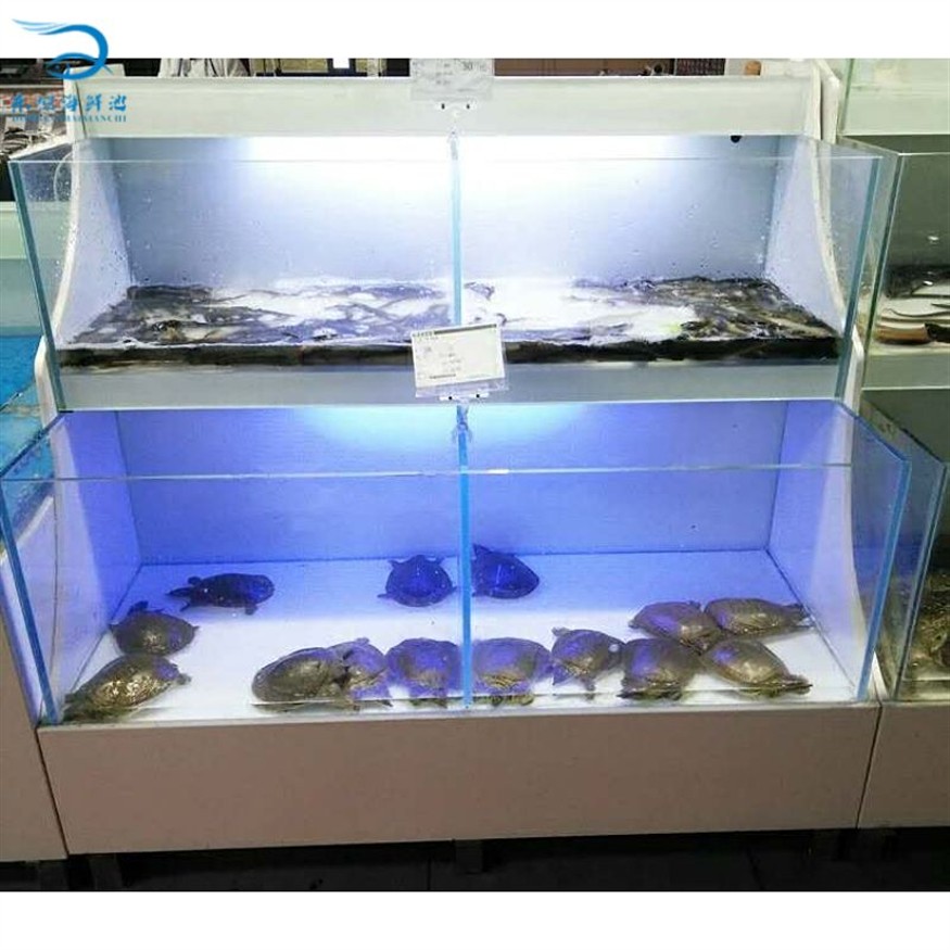 海鮮魚池設(shè)計中如何進行生態(tài)平衡：智能海鮮魚池的生態(tài)平衡