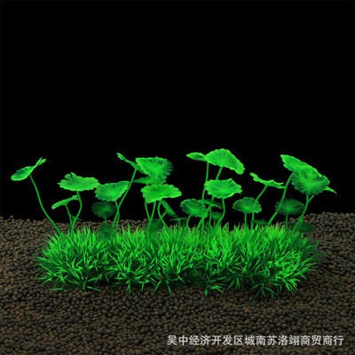 蘇州花開盛世花卉有限公司（蘇州花開盛世花卉有限公司電話）