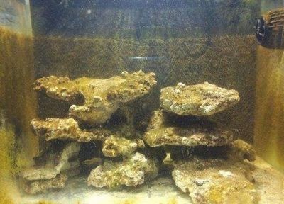 新魚缸開缸養(yǎng)水流程：剛買回來的魚缸需要經(jīng)過一系列的處理步驟才能投入使用 新魚缸開缸養(yǎng)水流程：剛買回來的魚缸需要經(jīng)過一系列的處理步驟才能投入使用 魚缸百科 第3張