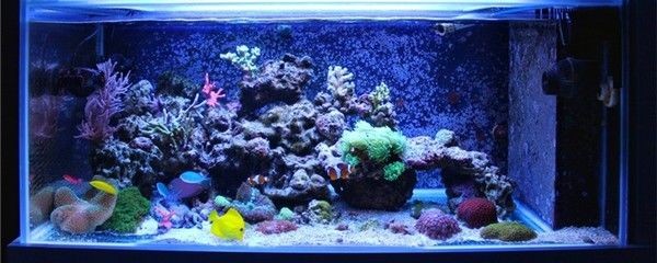 新魚缸開缸養(yǎng)水流程：剛買回來的魚缸需要經(jīng)過一系列的處理步驟才能投入使用 新魚缸開缸養(yǎng)水流程：剛買回來的魚缸需要經(jīng)過一系列的處理步驟才能投入使用 魚缸百科 第2張