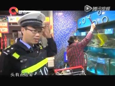 超市里放魚缸好嗎視頻：超市里放置魚缸的一些優點和缺點