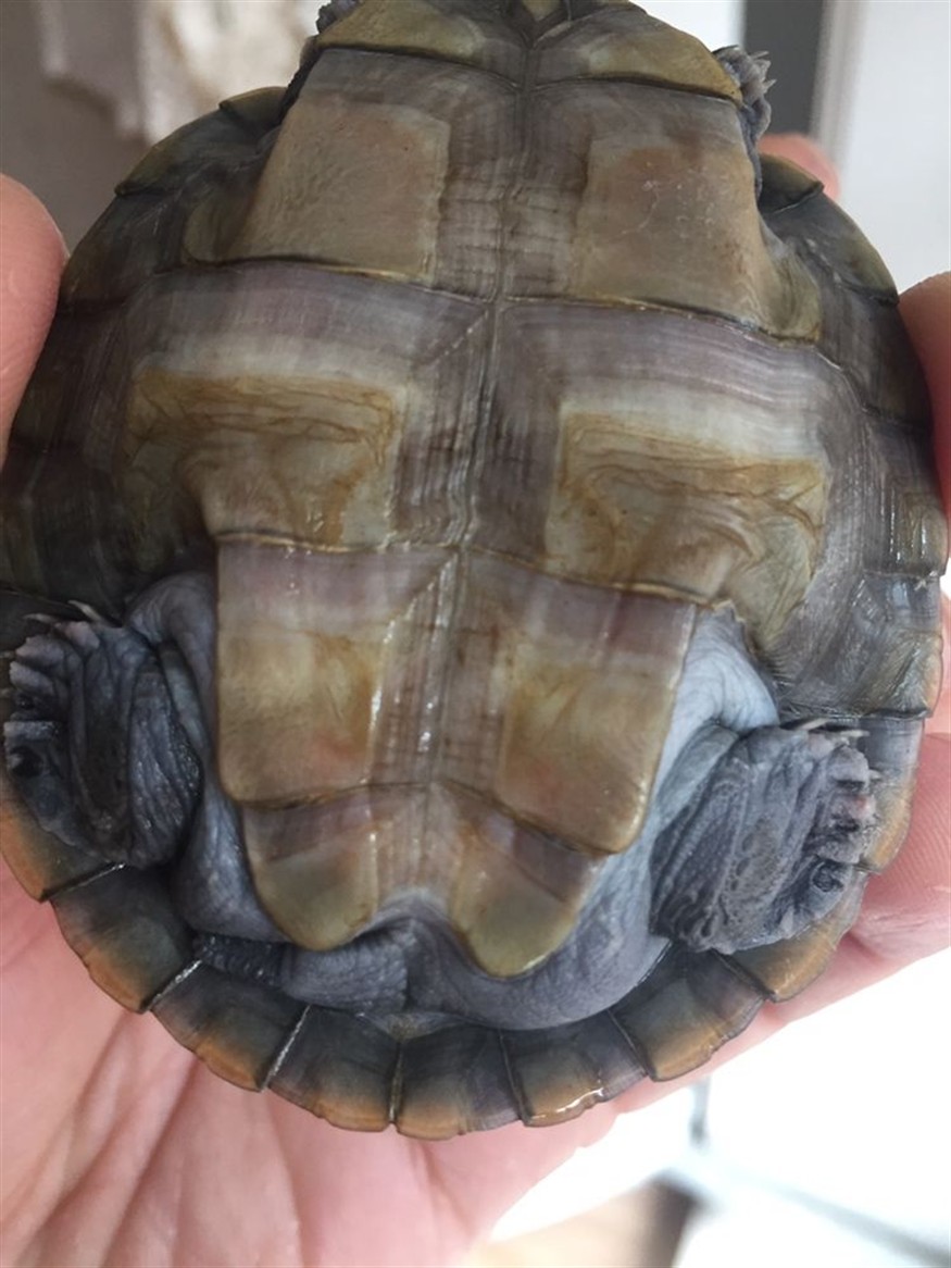 泰州水族館這是不是浮腫?。?></span><span id=