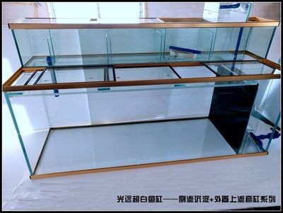 安陽高新區魚樂圈水族門市部（安陽水族觀賞魚大市場怎么樣）