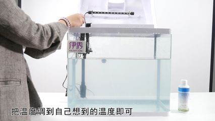 冬季怎么給魚缸保溫：冬季養魚常見誤區