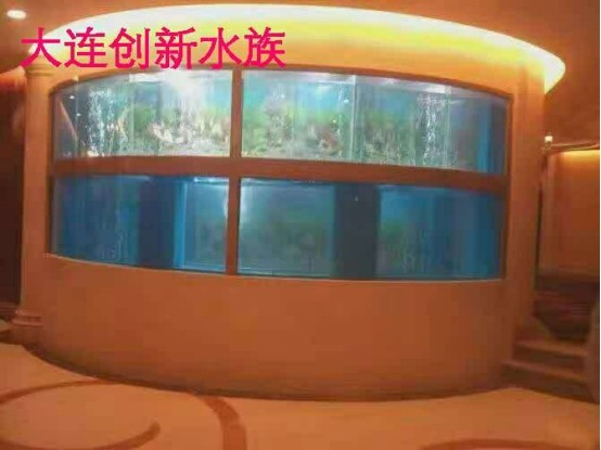 金戈市場魚友水族館（金戈游泳館門票）