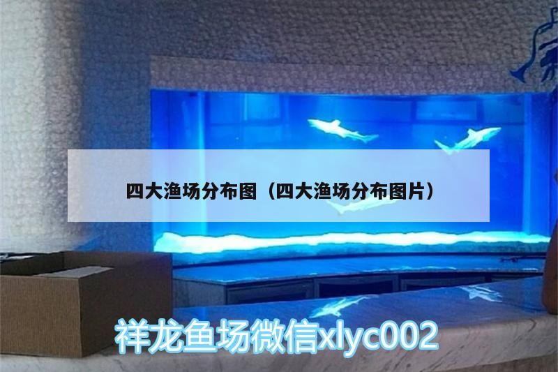 四大漁場分布圖（四大漁場分布圖片）