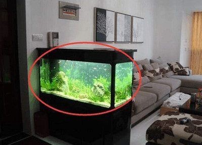 財位放魚缸好不好風水：魚缸擺放的風水禁忌