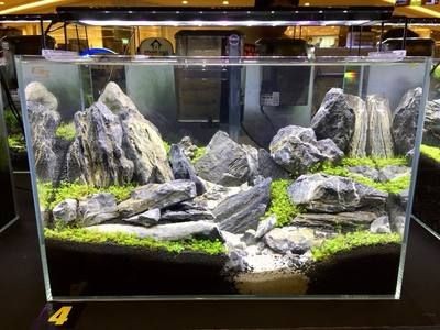 大石頭魚缸造景如何保護玻璃質量：保護魚缸玻璃質量的方法