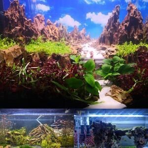 大石頭魚缸造景如何保護玻璃質量：保護魚缸玻璃質量的方法