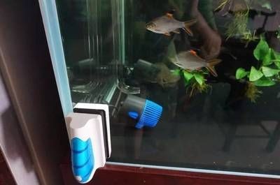 100的魚缸暴氧多長時間：100升的魚缸應該如何爆氧