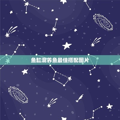 秦州區眾彩水族商行（眾彩水產市場營業時間）