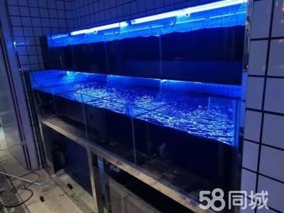 定做海鮮池魚缸多少錢一個：定做海鮮池魚缸價格因素而異消費者應該注意以下幾點
